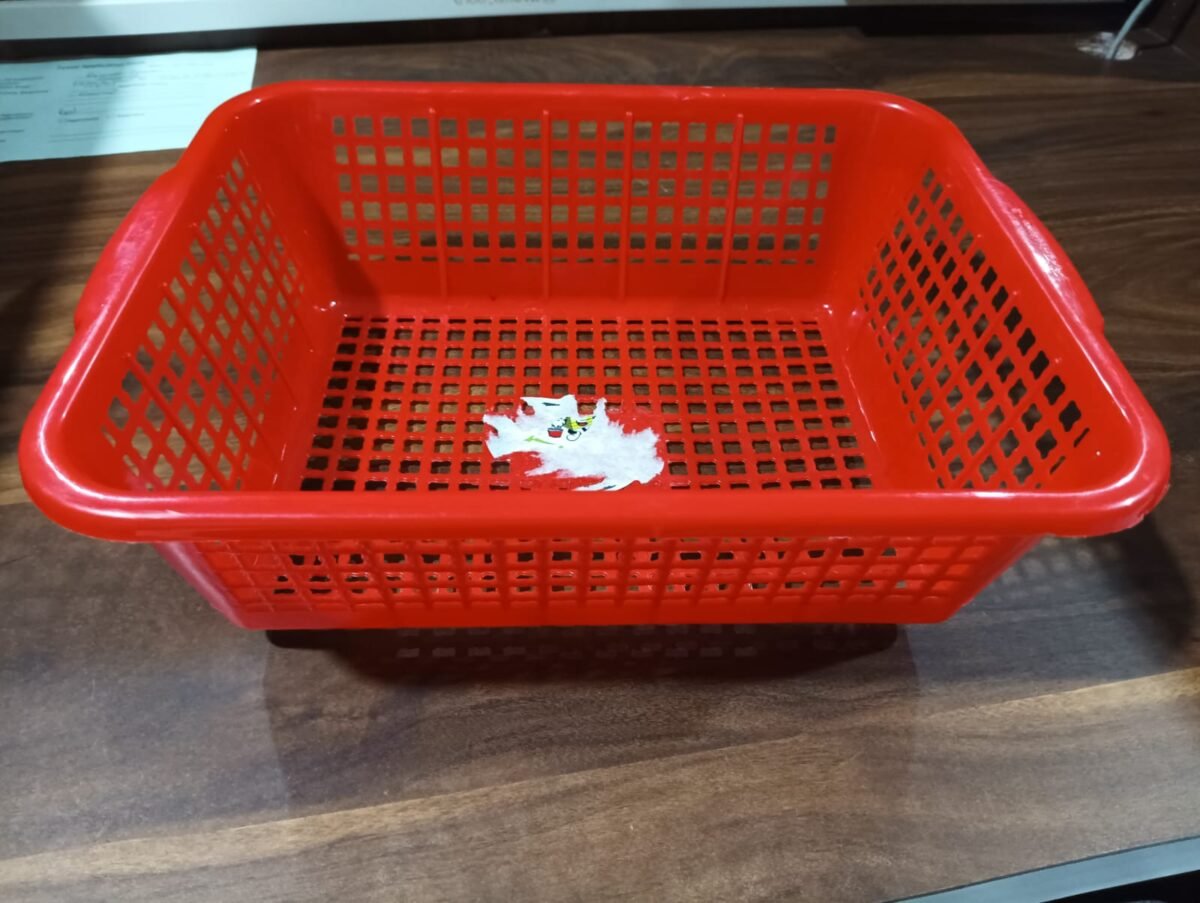 Plastic Kitchen Medium Size Vegetables and Fruits Washing Basket Dish Rack Multipurpose Organizers - Image 1