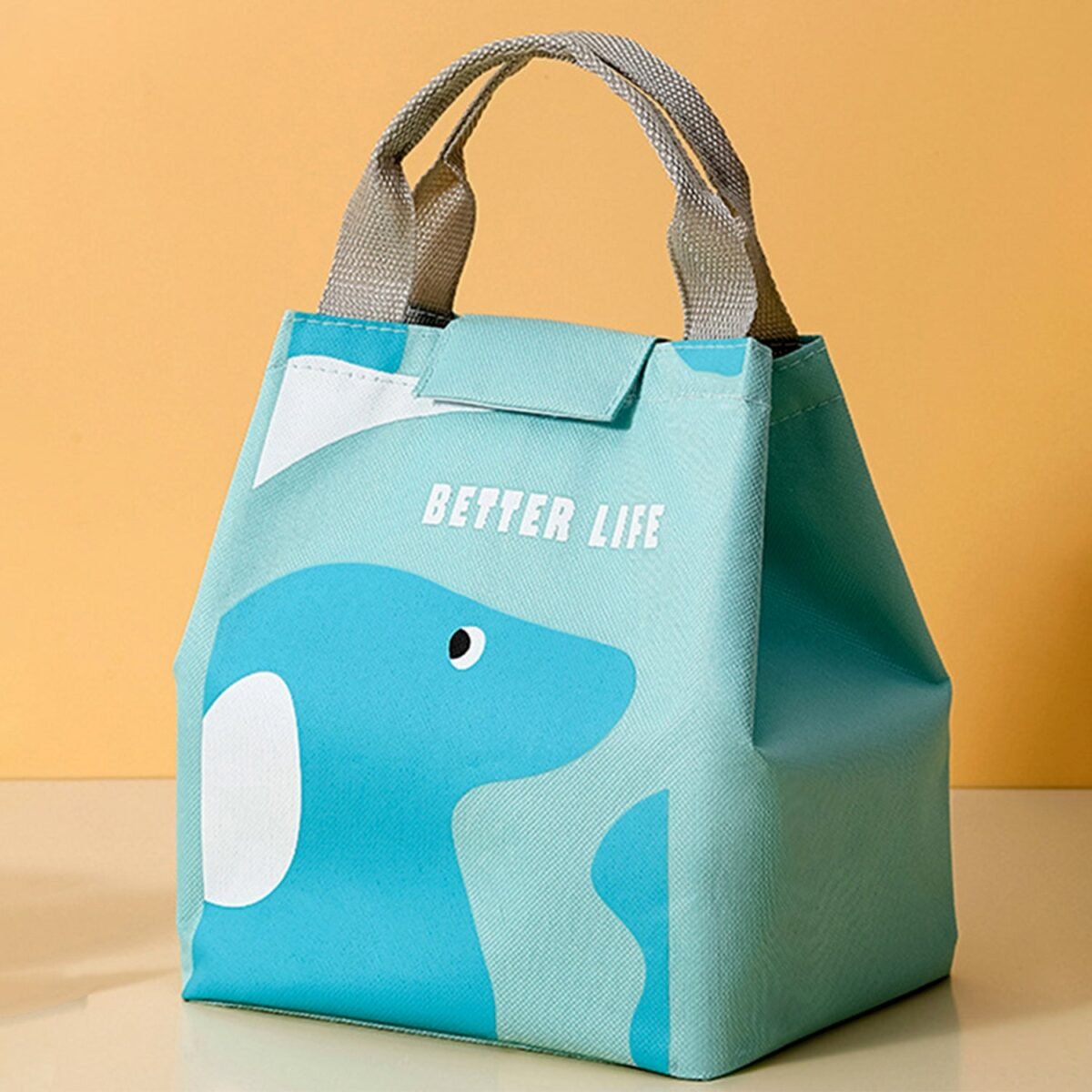 Lunch Box Bag for Women Men Insulated Lunch Bag With Zipper (1 Pc / Mix Design & Color) - Image 1