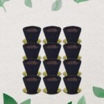 Premium Gugal Sambrani Cup Sambrani Havan Cups (12 Pcs Set)