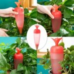 Self Watering Spike Plant Watering Globes And Automatic Plant Watering System (1 Pc) - Image 4