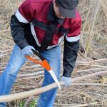 15 Inch Mini Pruning Folding Saw (1 Pc) - Image 3