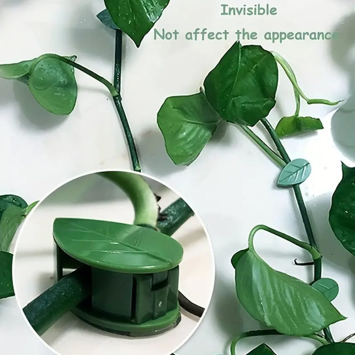 Plant Climbing Wall Clip, Self-Adhesive Vines Support Hooks for Indoor Outdoor Use (10 Pcs Set) - Image 2