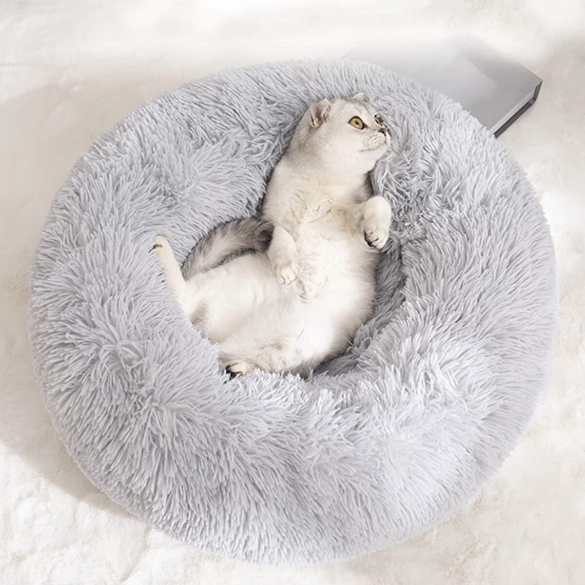 Small Round Dog Beds for Small Dogs and Cats (1 Pc) - Image 3