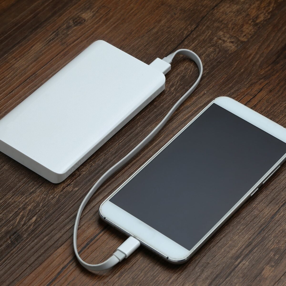 Power Bank Micro USB Charging Cable - Image 1