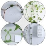 Plant Climbing Wall Fixture Clip Self-Adhesive Hook (200 Pcs Set) - Image 5