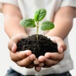 Organic Vermicompost Black Soil for Plants Health Manure (1 KG Approx) - Image 4