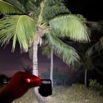 LED Battery Operated Keychain Flashlight with Folding Bracket Bottle Opener (1 Pc) - Image 5