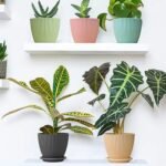 Round Flower Pot with Bottom Tray (5 Pcs Set / Small / 14×16 Cm) - Image 5