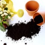 Organic Vermicompost Black Soil for Plants Health Manure (1 KG Approx) - Image 6