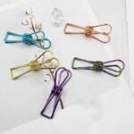 Stainless Steel Multipurpose Sturdy Clothes Hanging Clips - Image 7