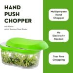 Manual Hand Push Garlic Cutter & Vegetable Chopper (1 pc) - Image 8