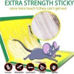 PCI Cardboard Troublegum Small Size Mouse Trap-1pc - Image 6