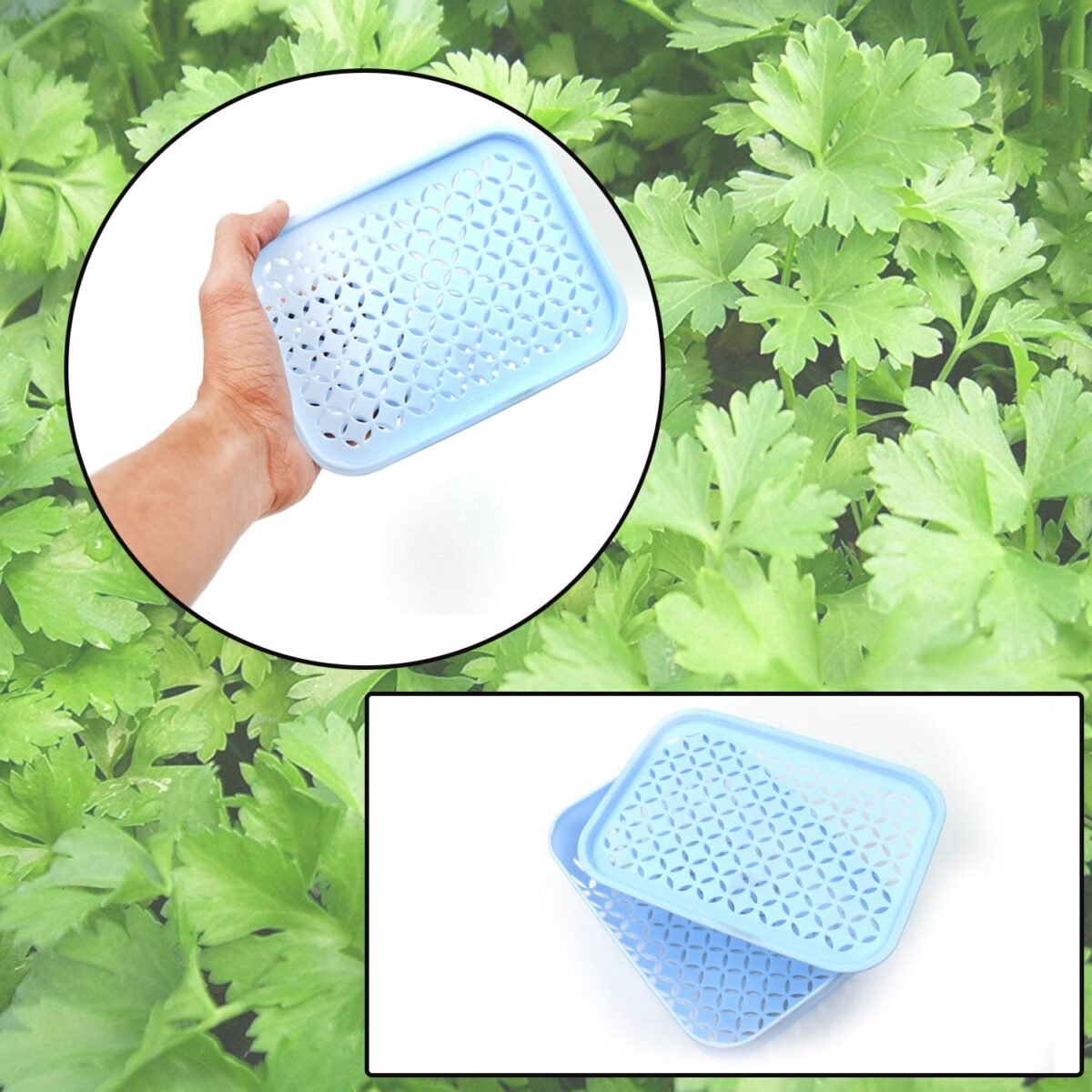 1 Pc Kothmir Basket widely used in all types of household places for holding and storing various kinds of fruits and vegetables etc. - Image 6