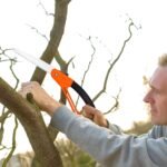 15 Inch Mini Pruning Folding Saw (1 Pc) - Image 6