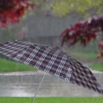 3-Fold Sun & Rain Protective Solid Foldable Umbrella, (1 Pc) - Image 6