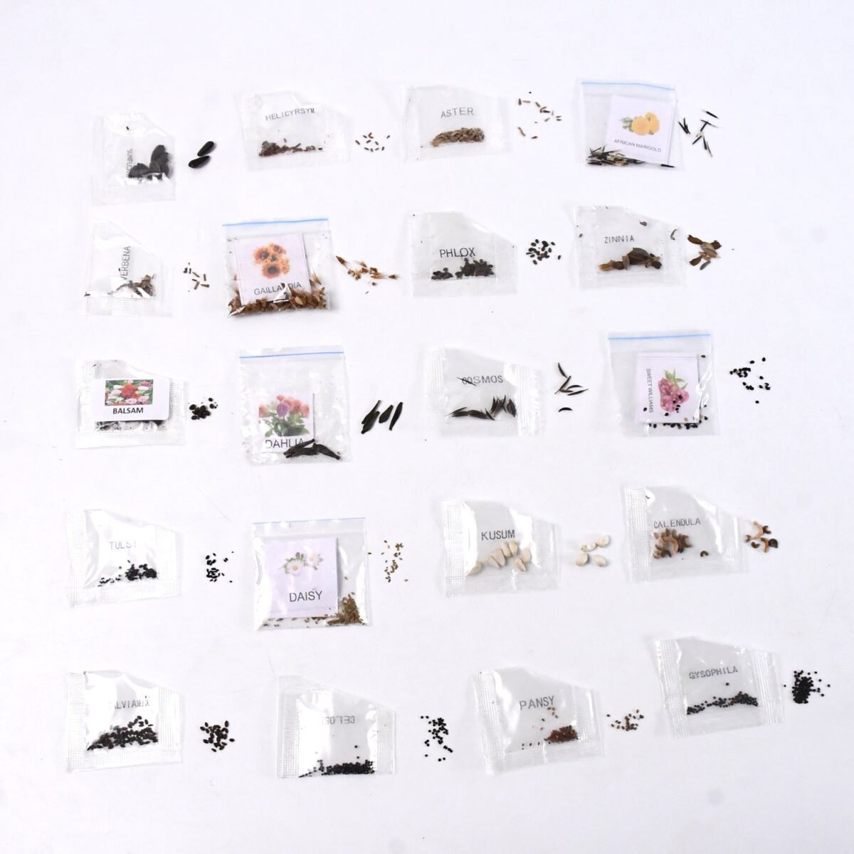Seeds 20 Varieties of Flower Seeds Combo (1 Pkt / 20 Varieties) - Image 4