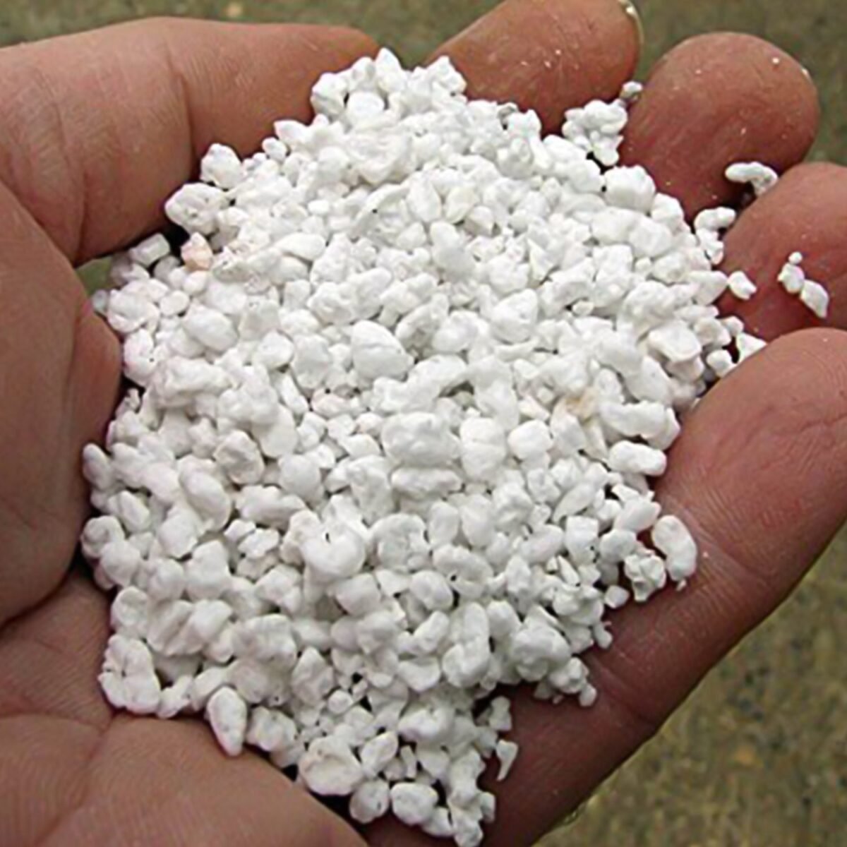 Paradise Perlite for Hydroponics & Horticulture Terrace Gardening Soil Conditioner (250 GM) - Image 5