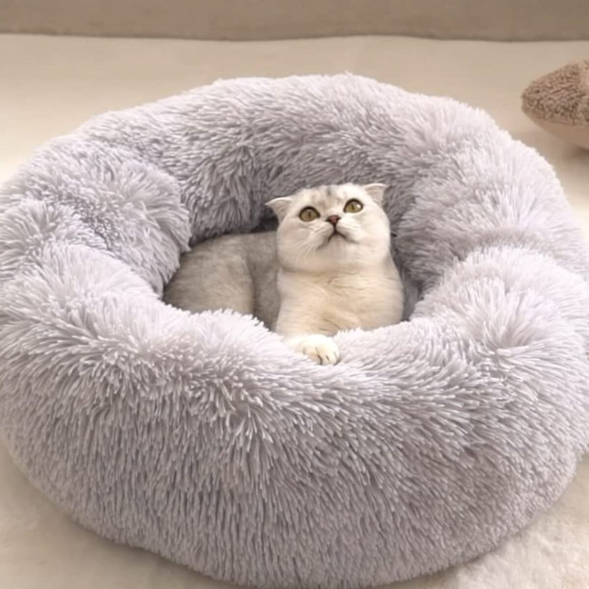Small Round Dog Beds for Small Dogs and Cats (1 Pc) - Image 1