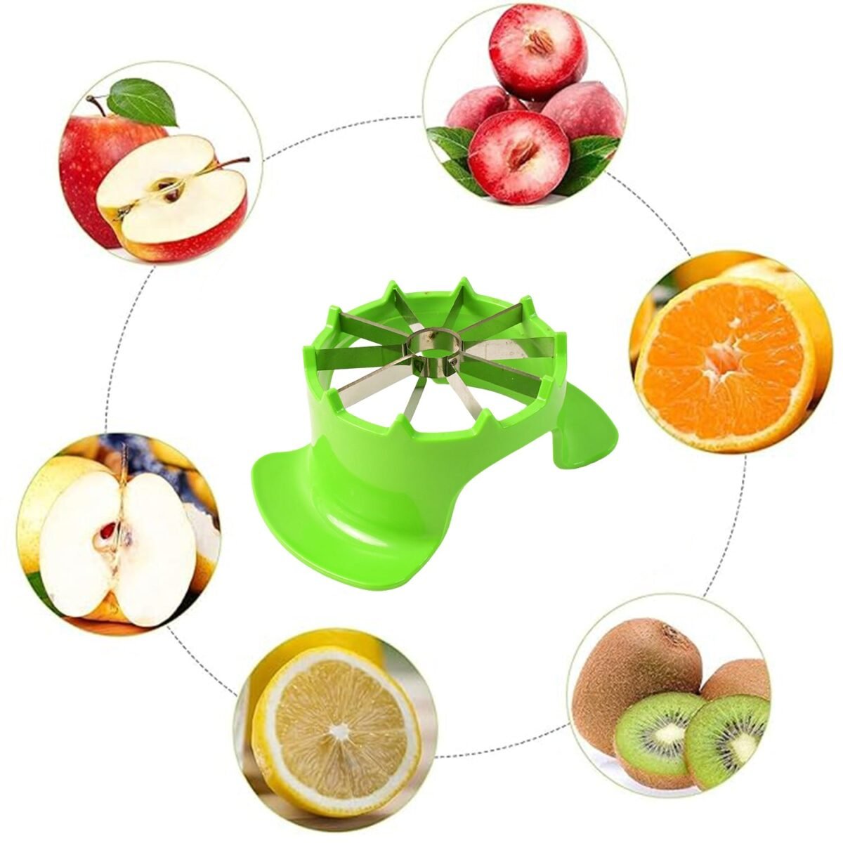 Apex Apple Cutter with Container – Unbreakable ABS Body & Stainless Steel Blades - Image 3