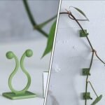 Plant Climbing Wall Fixture Clip Self-Adhesive Hook (200 Pcs Set) - Image 3