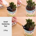 Small sized Hand Cultivator, Small Trowel, Garden Fork (Set of 3) - Image 3