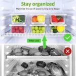 Vegetables & Fruits Freezer Storage Container (PACK OF 6PC 1500ML) - Image 6