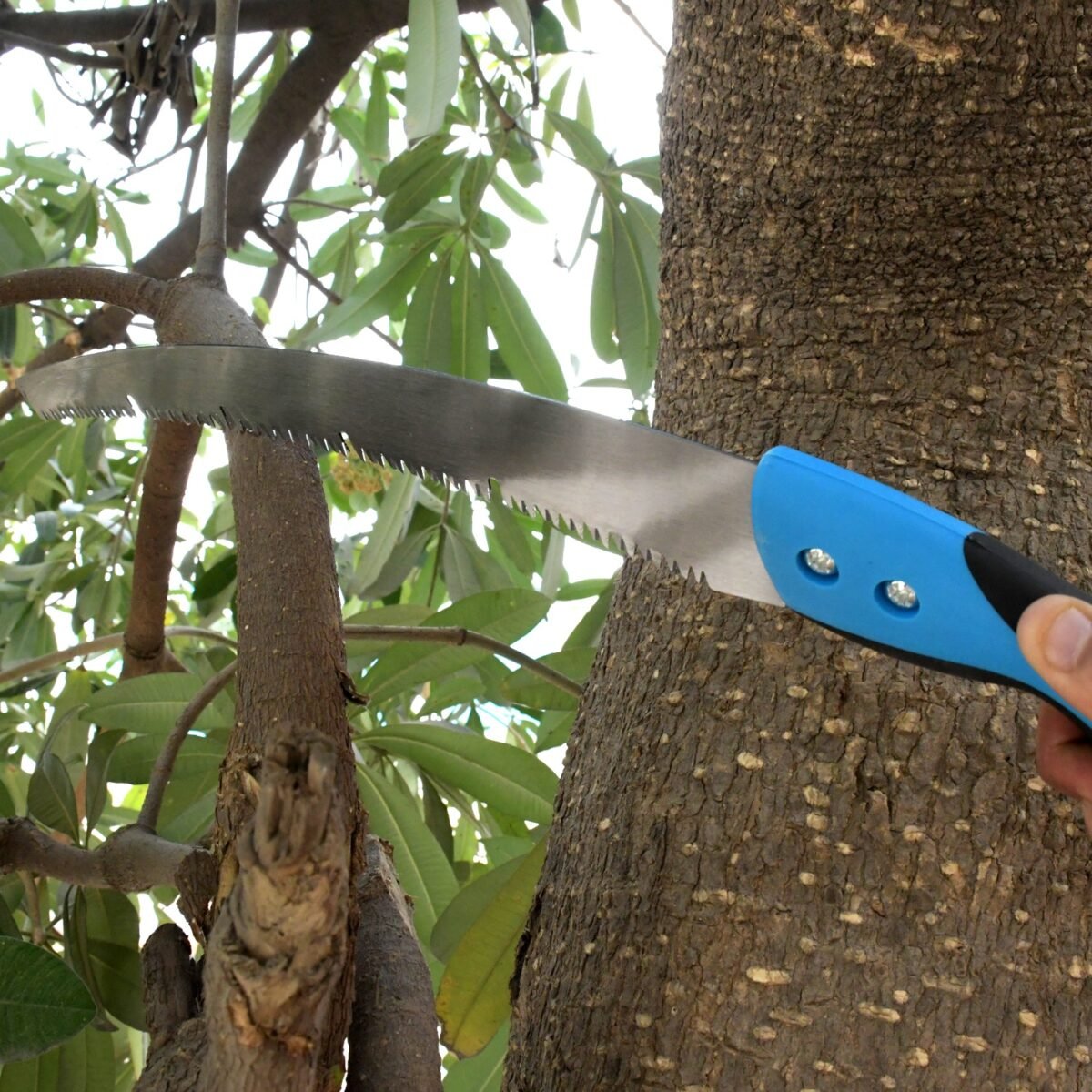 20-Inch High Carbon Steel Pruning Saw – Sharp Teeth, Cover Included, Ideal for Gardening & Wood Cutting - Image 1