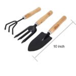 Gardening Tools - Hand Cultivator, Small Trowel, Garden Fork (Set of 3) - Image 5
