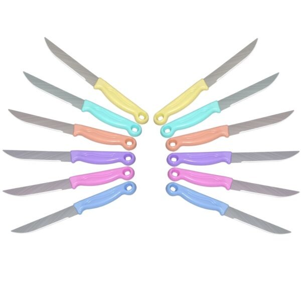 Multipurpose Top Kitchen Knife for Home and Restaurant (12Pcs Set)