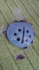 Ladybug Toothbrush Holder (1 Pc) - Image 11