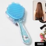 Cartoon Hair Brush Massage Shower Comb Blur Wet Salon (1 Pc ), Hair accessories - Image 2