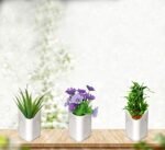 Plastic Vertical Hanging Planter Pot, Multicolour, - Image 7