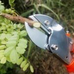 PROFESSIONAL GARDEN SCISSOR WITH SHARP BLADE COMFORTABLE HANDLE (18CM) - Image 4