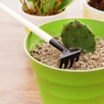 Kid's Garden Tools Set of 3 Pieces (Trowel, Shovel, Rake) - Image 12