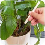 Kid's Garden Tools Set of 3 Pieces (Trowel, Shovel, Rake) - Image 10