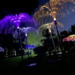 Solar Outdoor Lights – 7-Color Waterproof Jellyfish Like Firework Home Decor (2pcs) - Image 4