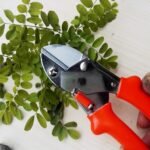 PROFESSIONAL GARDEN SCISSOR WITH SHARP BLADE COMFORTABLE HANDLE (18CM) - Image 6