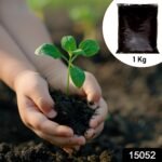 Organic Vermicompost Black Soil for Plants Health Manure (1 KG Approx) - Image 2