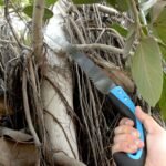 20-Inch High Carbon Steel Pruning Saw – Sharp Teeth, Cover Included, Ideal for Gardening & Wood Cutting - Image 5