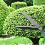Garden Big Scissor - Image 3