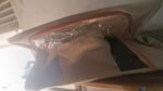 Zippered Closet Storage Box with Lid, With Window (Mix Design & Size / 1 Pc) - Image 7