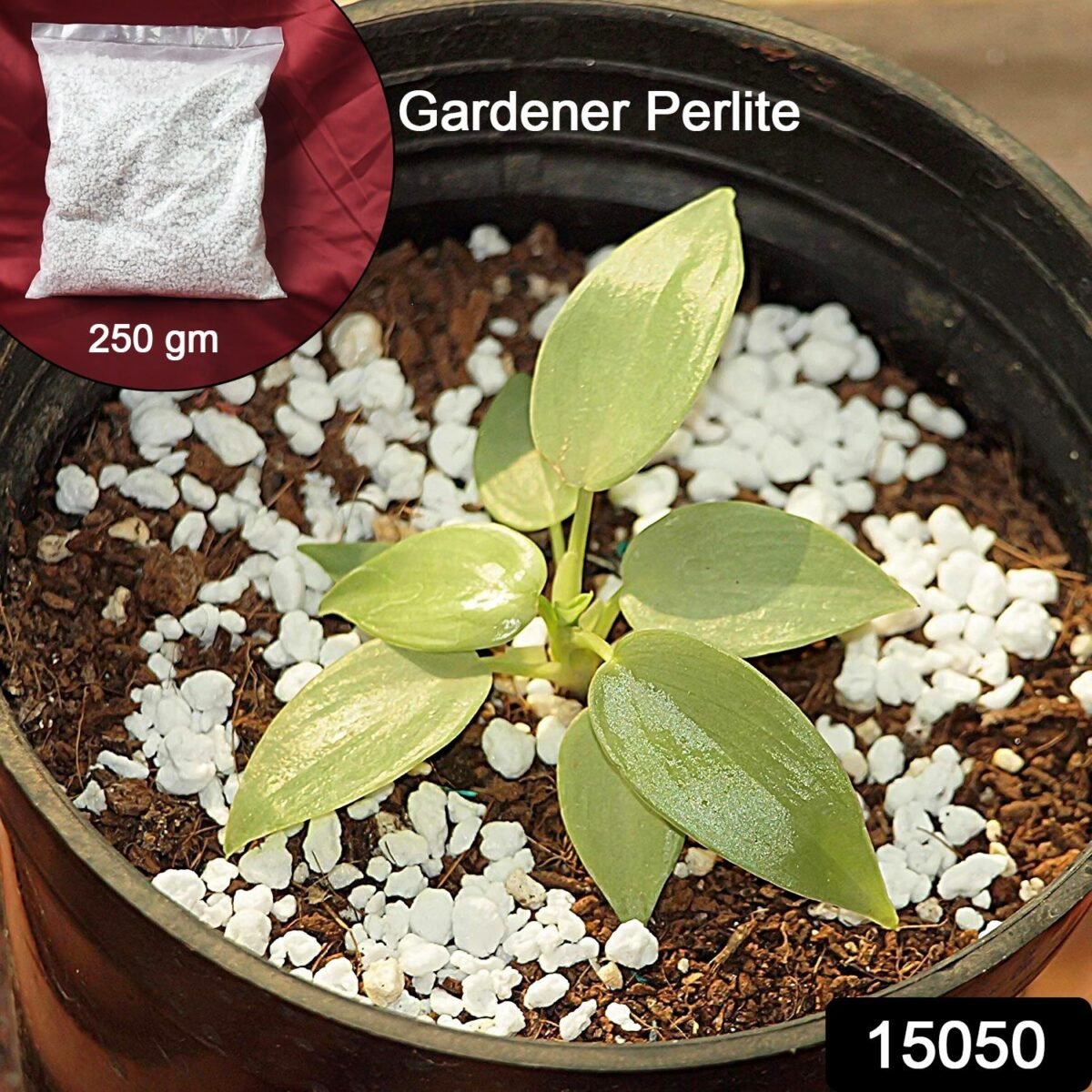 Paradise Perlite for Hydroponics & Horticulture Terrace Gardening Soil Conditioner (250 GM) - Image 3
